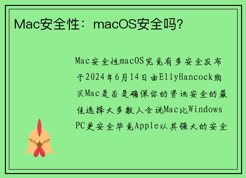 Mac安全性：macOS安全吗？
